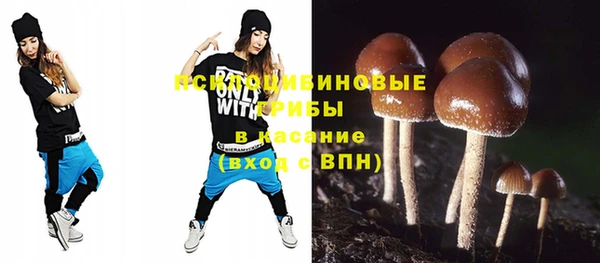 соль курить ск Алзамай