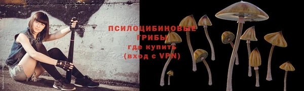 спайс Алексин