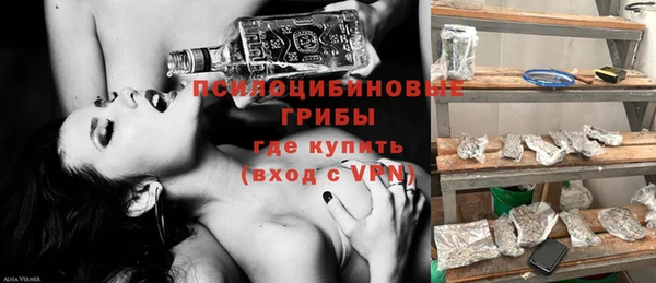 спайс Алексин