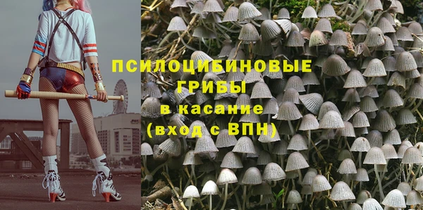 apvp Алексеевка