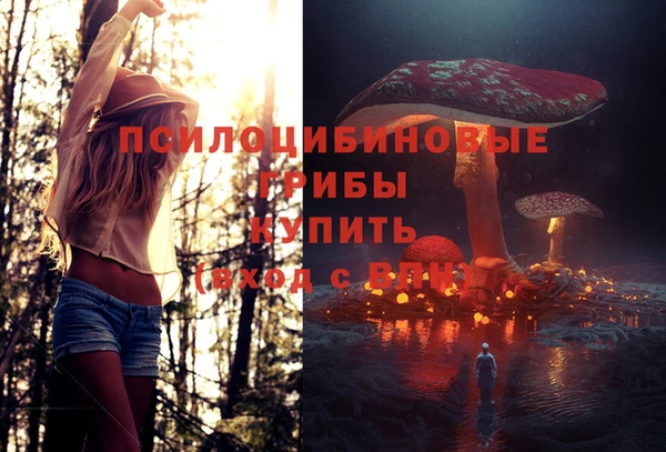 соль курить ск Алзамай
