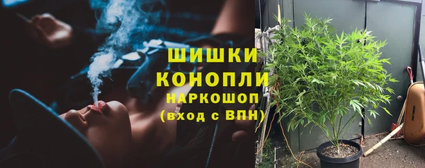 спайс Алексин