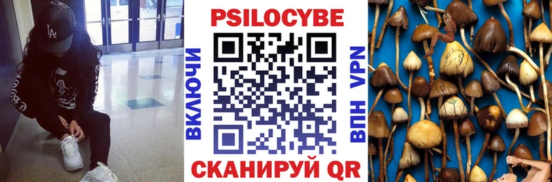 что такое наркотик  Чебаркуль  Псилоцибиновые грибы Cubensis 
